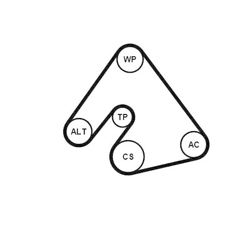 CONTINENTAL CTAM Keilrippenriemensatz 6PK1400K1