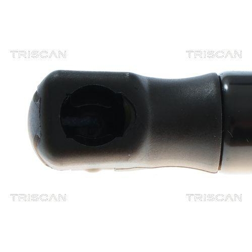 TRISCAN Gasfeder, Koffer-/Laderaum 8710 292081