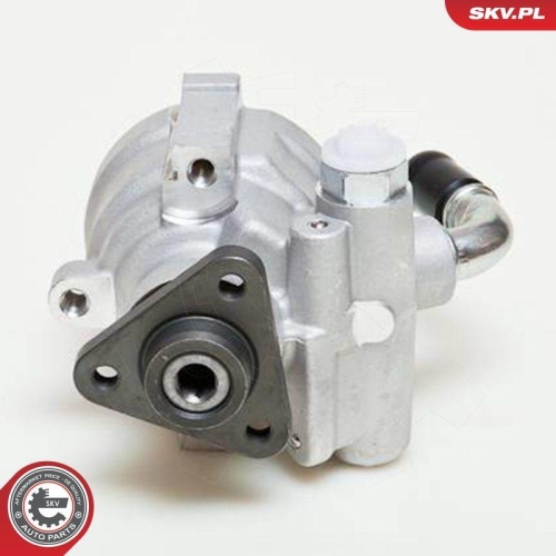 ESEN SKV Hydraulikpumpe, Lenkung 10SKV061