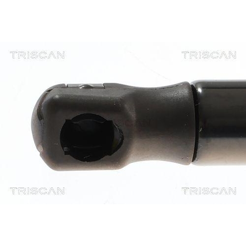 TRISCAN Gasfeder, Koffer-/Laderaum 8710 69229