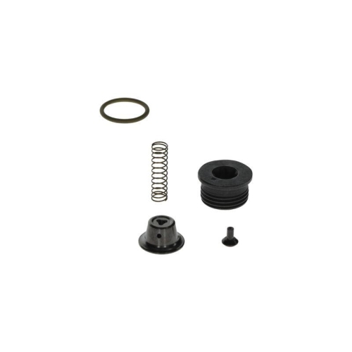 BOSCH Reparatursatz, Common-Rail-System F 00N 203 059