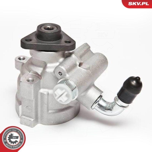 ESEN SKV Hydraulikpumpe, Lenkung 10SKV064