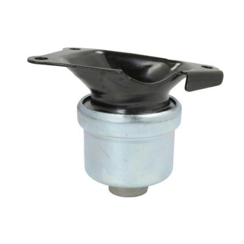 REINHOCH Lagerung, Motor RH11-0061