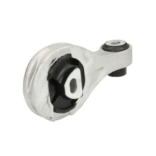 REINHOCH Lagerung, Motor RH11-1048