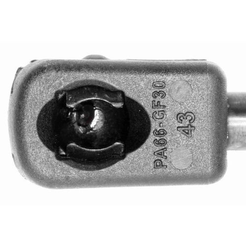 VAICO Gasfeder, Motorhaube Original VAICO Qualit&auml;t V10-1965