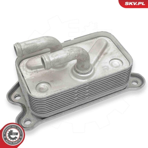 ESEN SKV &Ouml;lk&uuml;hler, Motor&ouml;l 31SKV305