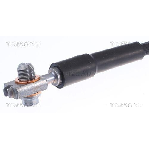 TRISCAN Bremsschlauch 8150 29245