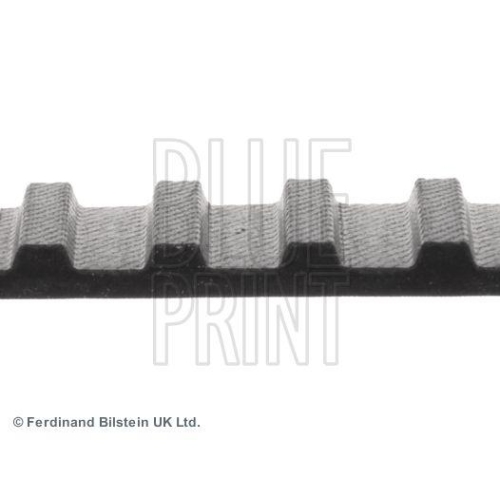 BLUE PRINT Zahnriemen