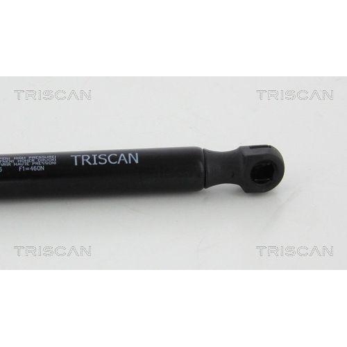 TRISCAN Gasfeder, Koffer-/Laderaum 8710 10216