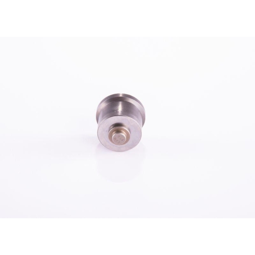 BOSCH Ventil 2 418 554 043