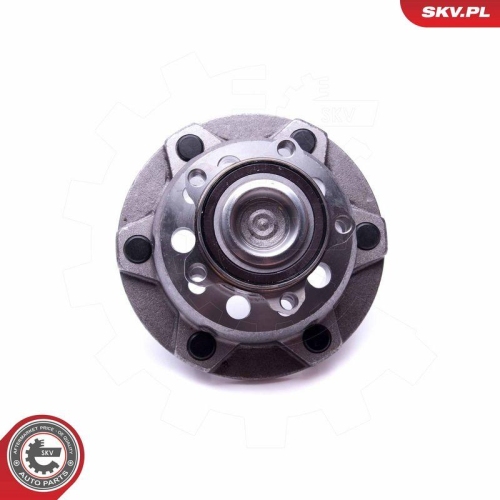 ESEN SKV Radlagersatz 29SKV298