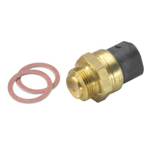 BorgWarner (Wahler) Temperaturschalter, Kühlerlüfter 6039.95D