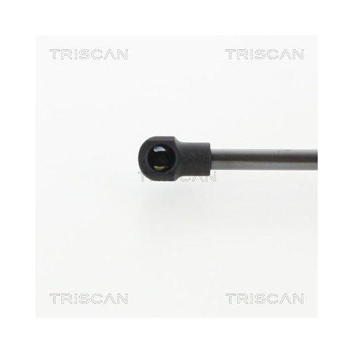 TRISCAN Gasfeder, Koffer-/Laderaum 8710 10218