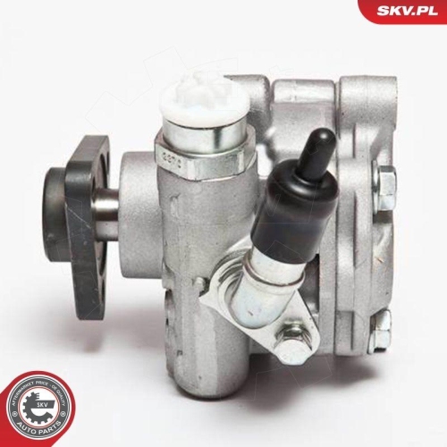 ESEN SKV Hydraulikpumpe, Lenkung 10SKV075