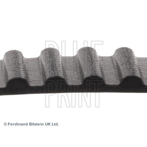 BLUE PRINT Zahnriemen