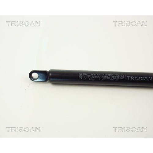 TRISCAN Gasfeder, Koffer-/Laderaum 8710 1107
