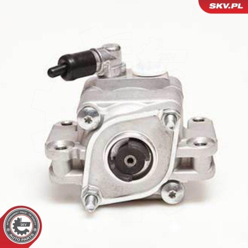 ESEN SKV Hydraulikpumpe, Lenkung 10SKV088