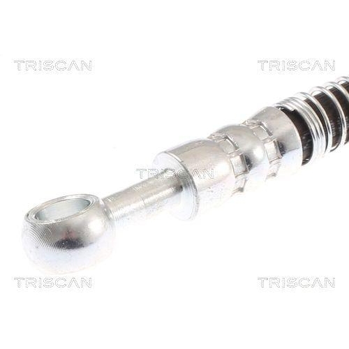 TRISCAN Bremsschlauch 8150 18233