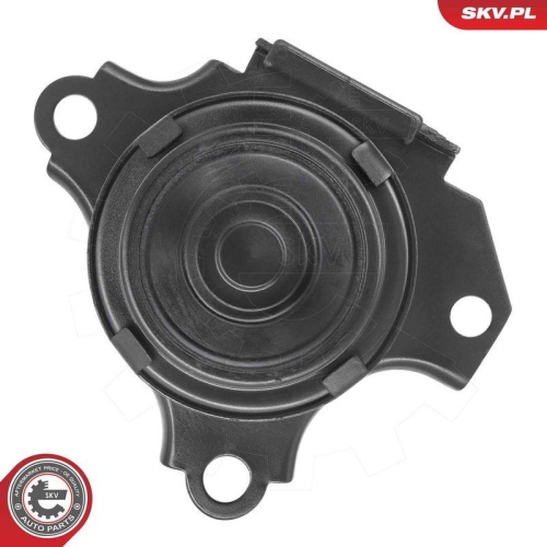 ESEN SKV Lagerung, Motor 75SKV267