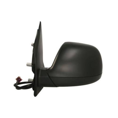 BLIC Außenspiegel 5402-01-1623361P