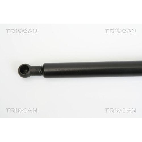 TRISCAN Gasfeder, Koffer-/Laderaum 8710 11226