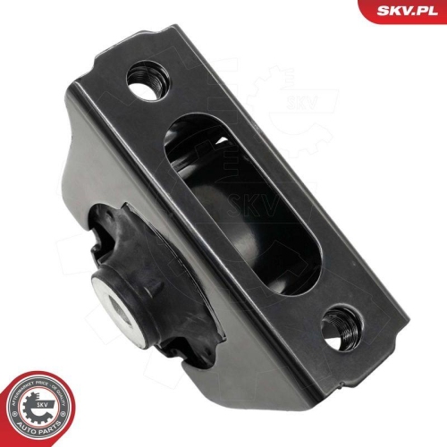 ESEN SKV Lagerung, Motor 75SKV309