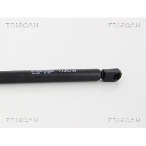 TRISCAN Gasfeder, Koffer-/Laderaum 8710 11237