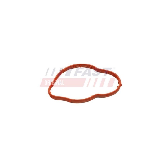 FAST Dichtung, Thermostat FT58305