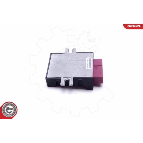 ESEN SKV Steuergerät, Kraftstoffpumpe