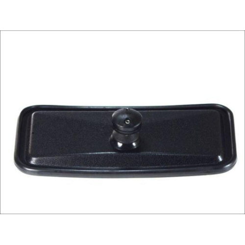 PACOL Au&szlig;enspiegel MAN-MR-009