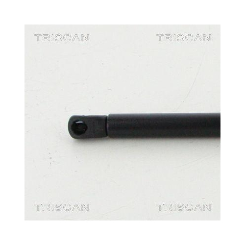 TRISCAN Gasfeder, Koffer-/Laderaum 8710 11247
