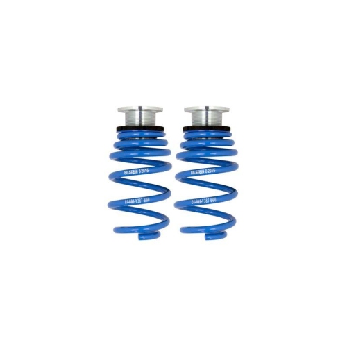 BILSTEIN Fahrwerkssatz, Federn/D&auml;mpfer BILSTEIN - B16 PSS10 48-244428