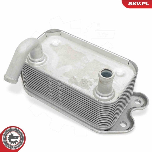ESEN SKV &Ouml;lk&uuml;hler, Motor&ouml;l 31SKV336
