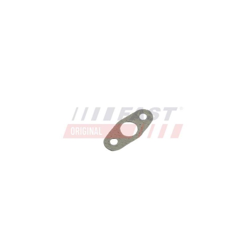 FAST Dichtung, &Ouml;leinlass (Lader) FT48801