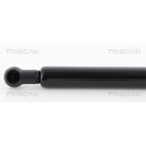 TRISCAN Gasfeder, Koffer-/Laderaum 8710 12219
