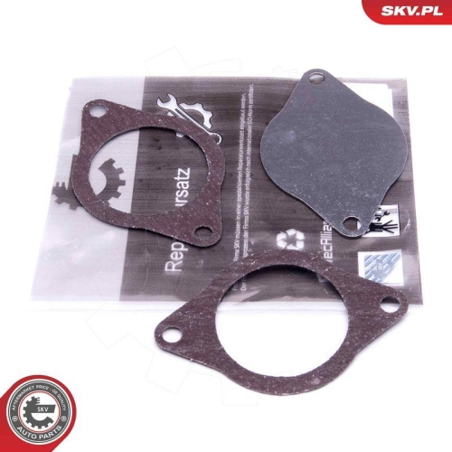 ESEN SKV Reparatursatz, AGR-Ventil 14SKV574