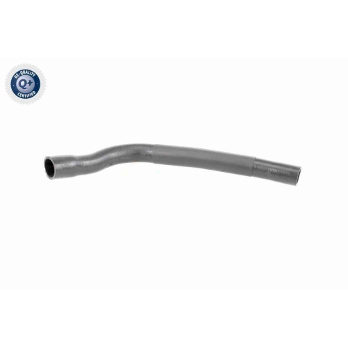 VAICO K&uuml;hlerschlauch Q+, Erstausr&uuml;sterqualit&auml;t V20-3333