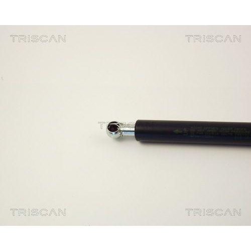 TRISCAN Gasfeder, Koffer-/Laderaum 8710 13251