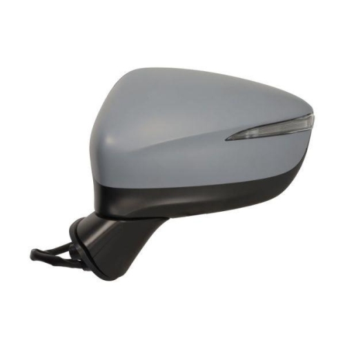 BLIC Au&szlig;enspiegel 5402-14-0770324P