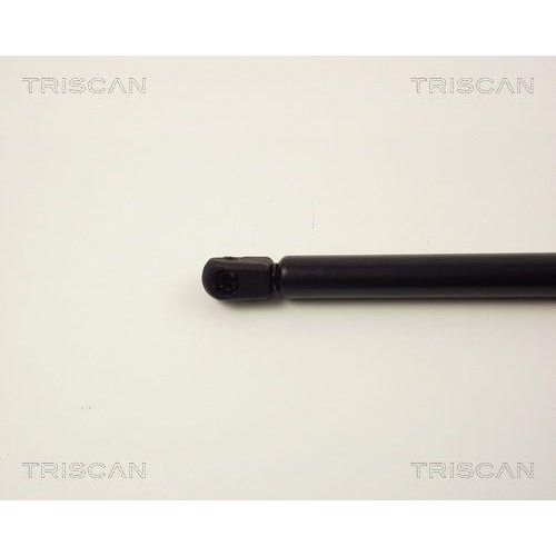 TRISCAN Gasfeder, Koffer-/Laderaum 8710 13258