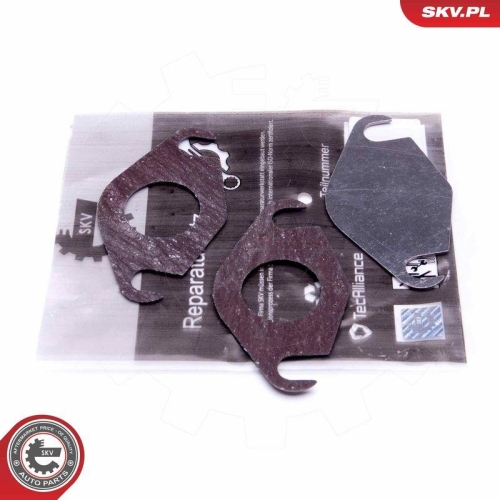ESEN SKV Reparatursatz, AGR-Ventil 14SKV577