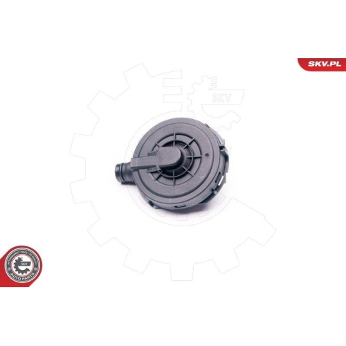 ESEN SKV Ventil, Kurbelgehäuseentlüftung 31SKV021