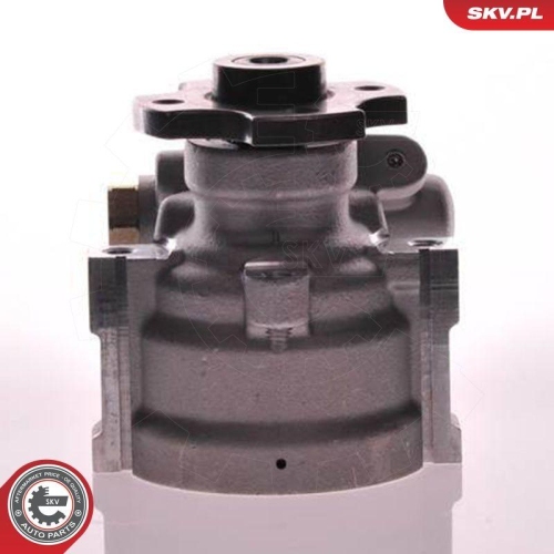 ESEN SKV Hydraulikpumpe, Lenkung 10SKV133