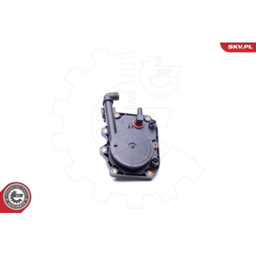 ESEN SKV Ventil, Kurbelgehäuseentlüftung 31SKV068