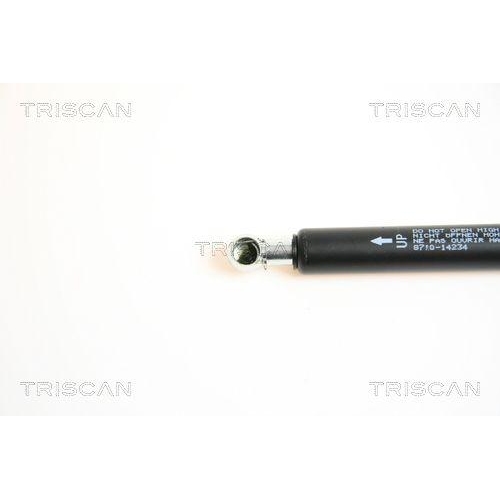 TRISCAN Gasfeder, Koffer-/Laderaum 8710 14234