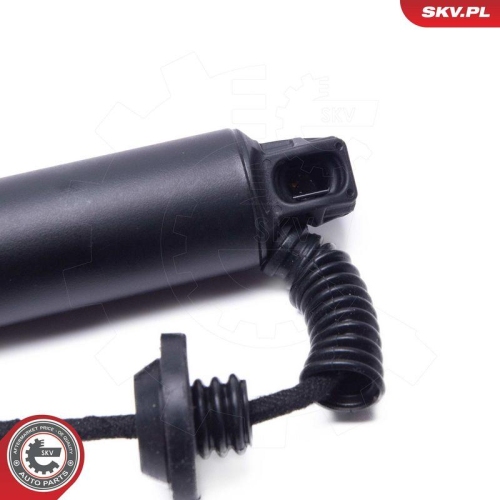 ESEN SKV Elektromotor, Heckklappe 52SKV969