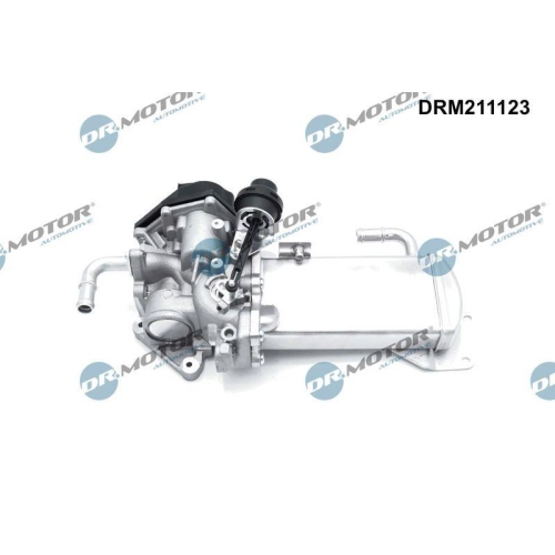 Dr.Motor Automotive AGR-Ventil DRM211123