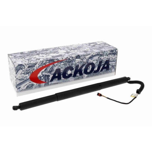 ACKOJA Elektromotor, Heckklappe Green Mobility Parts A53-55-0003