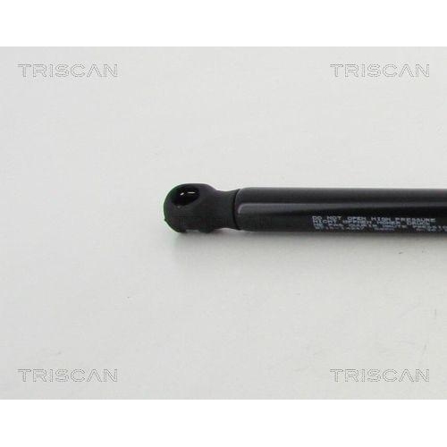TRISCAN Gasfeder, Koffer-/Laderaum 8710 14247