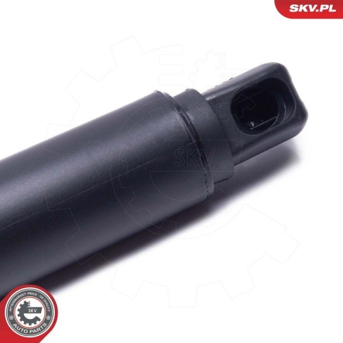 ESEN SKV Elektromotor, Heckklappe 52SKV957